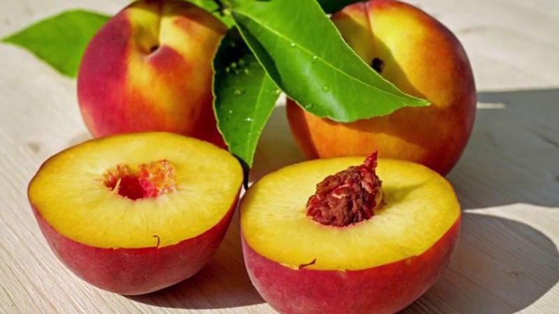 Şeftali tahtı kimin? İşte dünyada en fazla şeftali üreten ülkeler - Resim: 7
