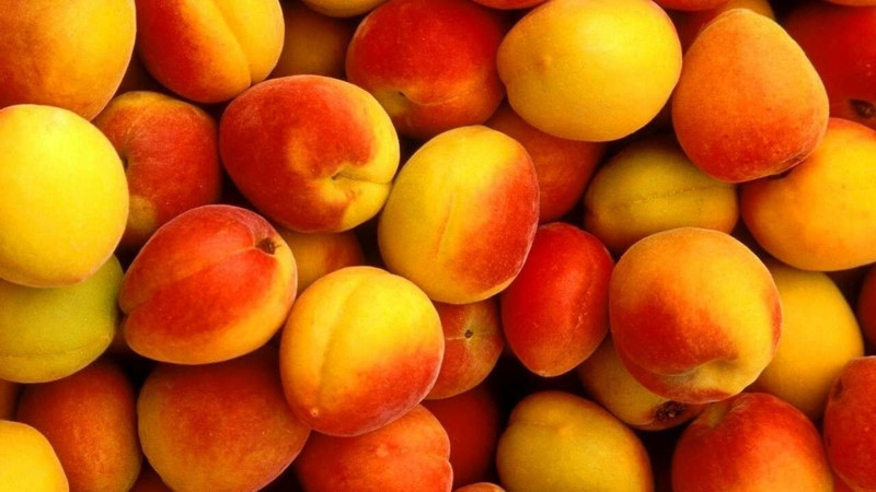 Şeftali tahtı kimin? İşte dünyada en fazla şeftali üreten ülkeler - Resim: 9