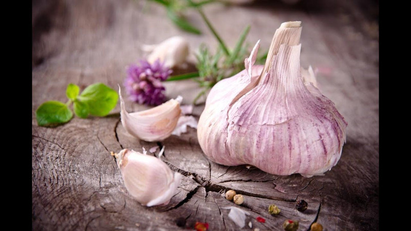 En fazla sarımsak yetiştiren 10 ülke! Bakın Türkiye kaçıncı sırada... - Resim: 8