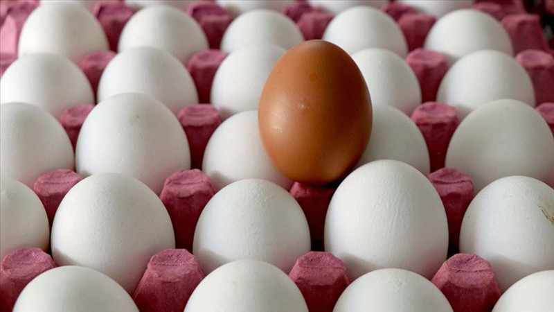 En çok yumurta tüketilen ülkeler açıklandı! Bakın Türkiye kaçıncı sırada - Resim: 7