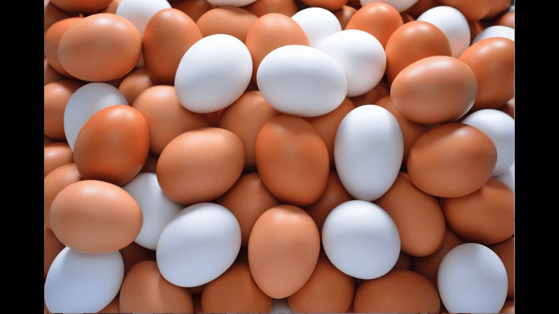En çok yumurta tüketilen ülkeler açıklandı! Bakın Türkiye kaçıncı sırada - Resim: 9