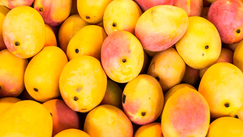 En fazla mango üreten ülkeler açıklandı! O ülke mangoda herkesten önde - Resim: 4