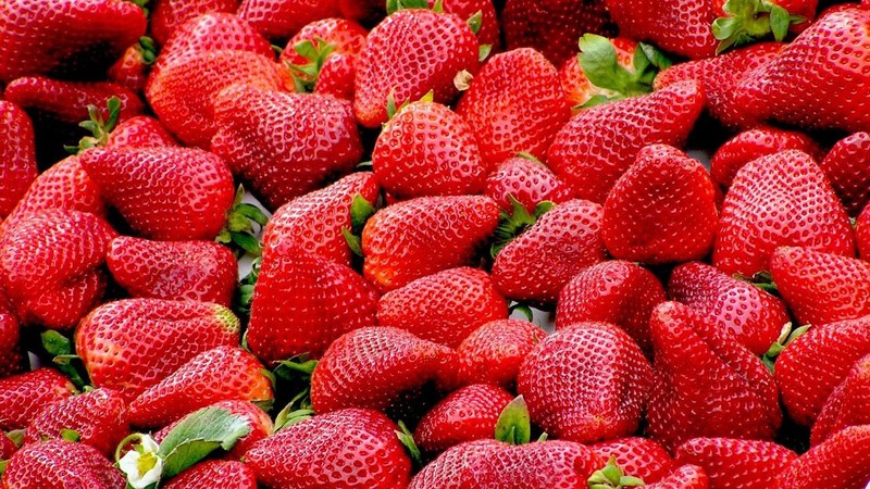 En fazla çilek üreten 15 ülke! Listede Türkiye de yer alıyor... - Resim: 6