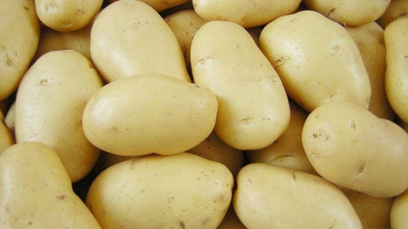 En fazla patates üreten 10 ülke açıklandı! Bakın Türkiye kaçıncı sırada... - Resim: 5