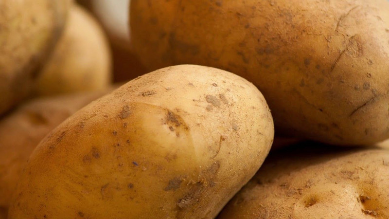 En fazla patates üreten 10 ülke açıklandı! Bakın Türkiye kaçıncı sırada... - Resim: 6