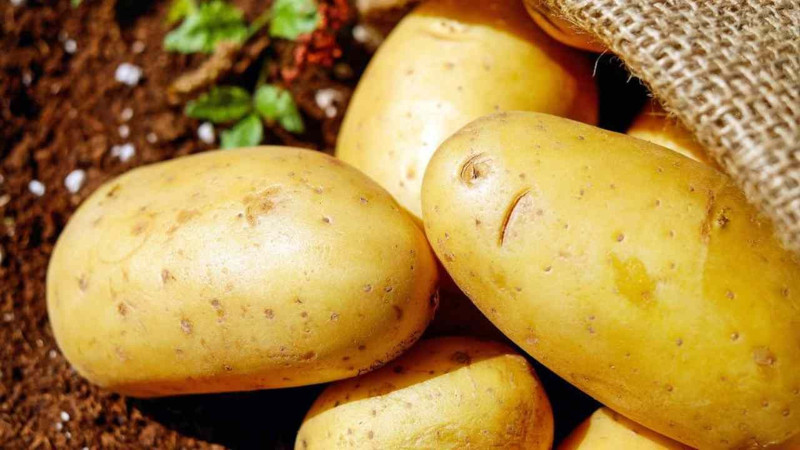 En fazla patates tüketen ülkeler belli oldu! Bakın Türkiye kaçıncı sırada.... - Resim: 3
