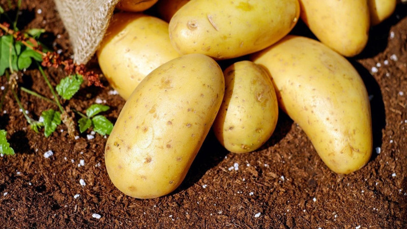 En fazla patates tüketen ülkeler belli oldu! Bakın Türkiye kaçıncı sırada.... - Resim: 9