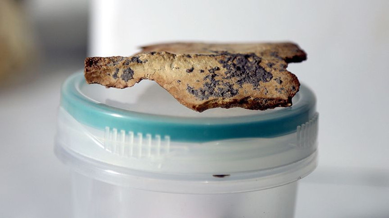 Yıllar sonra açılan mezardan şok detay! Tarihçileri bile şaşırttı - Resim: 8