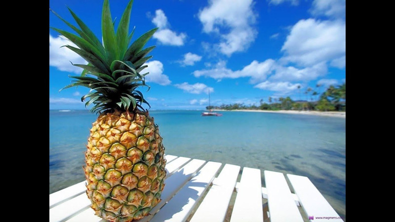 En çok ananas üreten ülkeler açıklandı! Ananas konusunda bu ülkeler lider - Resim: 10