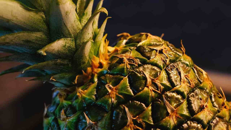 En çok ananas üreten ülkeler açıklandı! Ananas konusunda bu ülkeler lider - Resim: 9