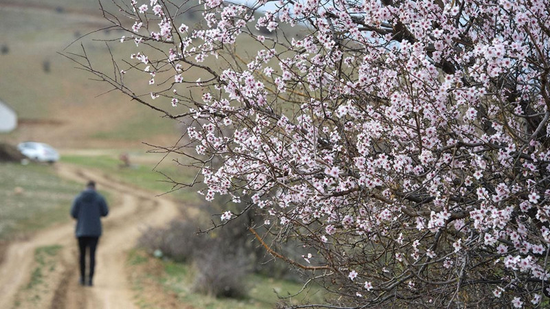 Meteoroloji’den kritik uyarı: 18 şehirde aşırı sıcaklık alarmı! - Resim: 2