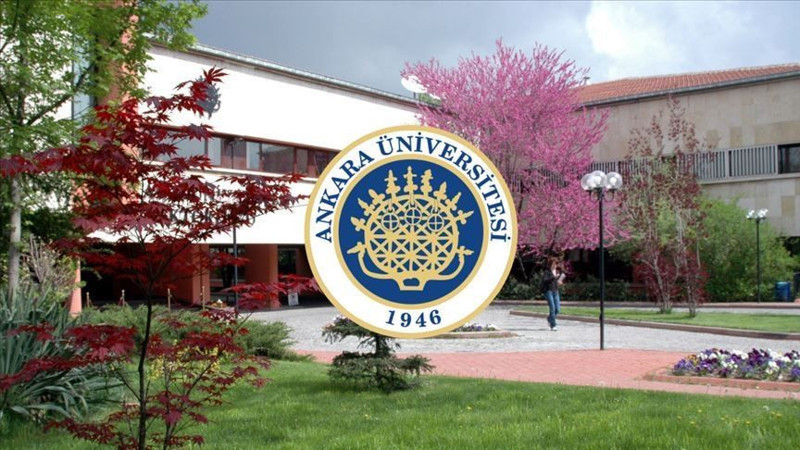 Türkiye'nin en iyi 20 üniversitesi açıklandı! İşte Nature Index'e göre ilk sıradaki üniversite - Resim: 11