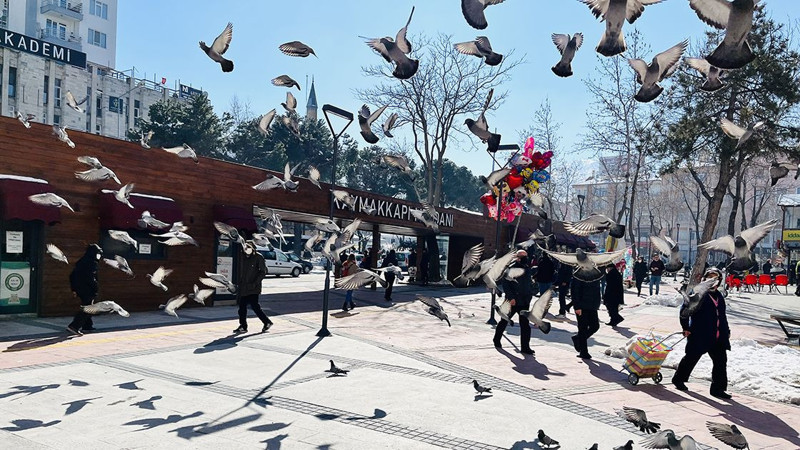 Bu illerde tümör kaynaklı ölümler zirvede! İşte o şehirler - Resim: 19