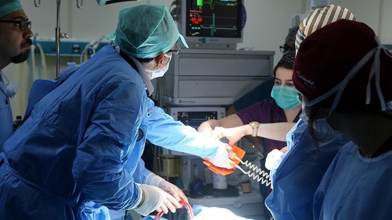 Ölüm oranının en yüksek olduğu iller açıklandı! En çok ölüm nedenleri neler? TÜİK raporladı - Resim: 9