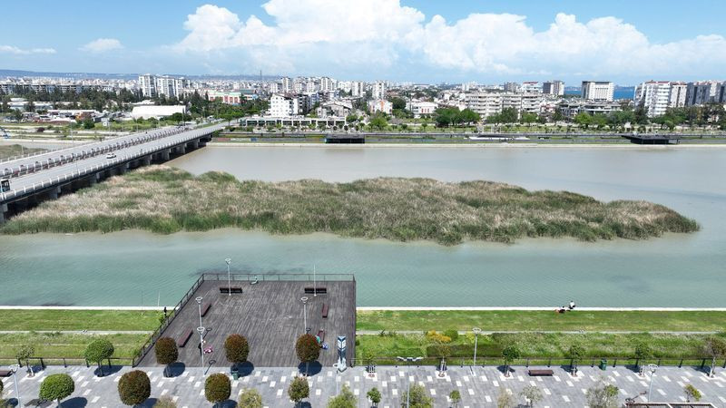 Antalya'da yüzlerce kuş türü gözlemlendi! - Resim: 3