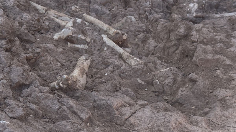 Kayseri'de çoban keşfetti! 7.7 milyon yıllık - Resim: 6