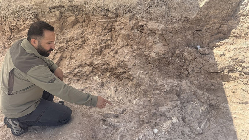 Kayseri'de çoban keşfetti! 7.7 milyon yıllık - Resim: 8