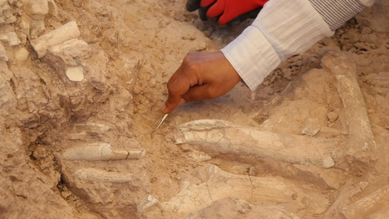 Kayseri'de çoban keşfetti! 7.7 milyon yıllık - Resim: 4