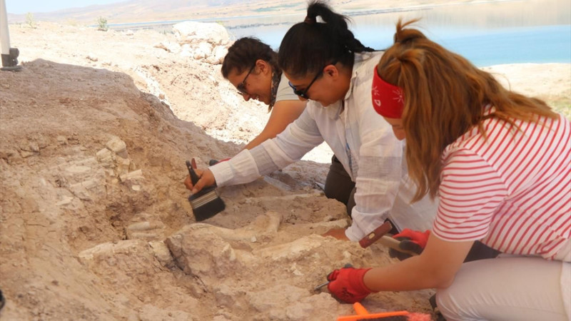 Kayseri'de çoban keşfetti! 7.7 milyon yıllık - Resim: 1