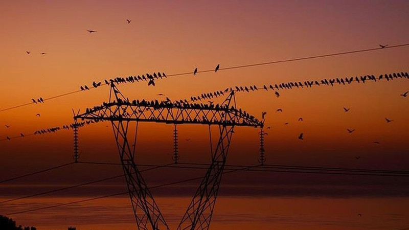 İstanbul'da 7 Temmuz'da elektrik kesintisi! BEDAŞ duyurdu: O bölgeler etkilenecek - Resim: 23