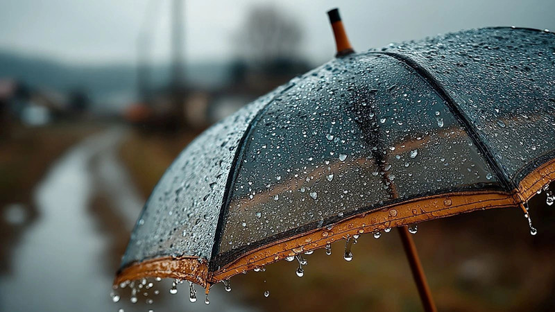Meteoroloji 25 ili uyardı: 16 Temmuz’da sağanak yağış geliyor - Resim: 26