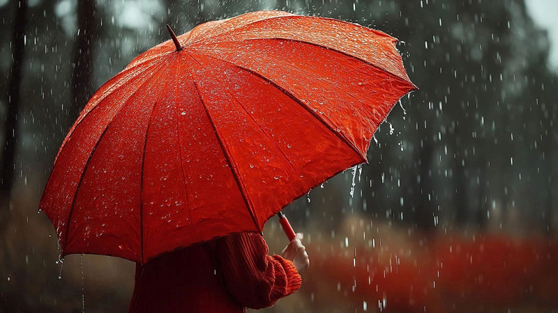 Meteoroloji 25 ili uyardı: 16 Temmuz’da sağanak yağış geliyor - Resim: 27