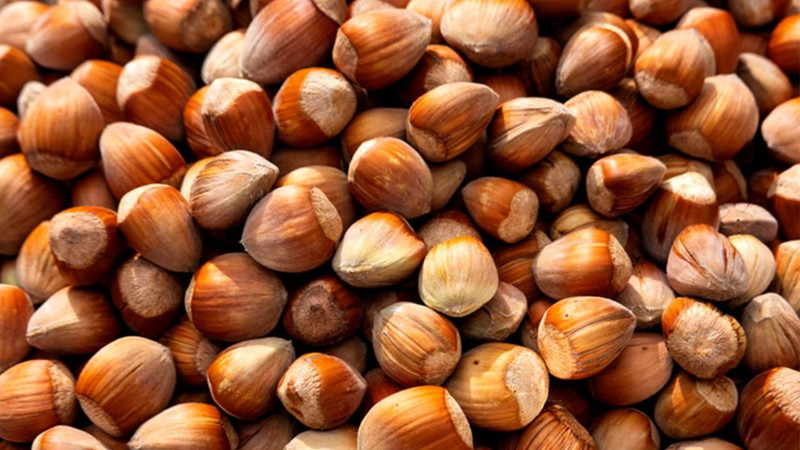 Fındık fiyatları belli oldu! İşte il ve ilçelere göre yeni fiyatlar - Resim: 5