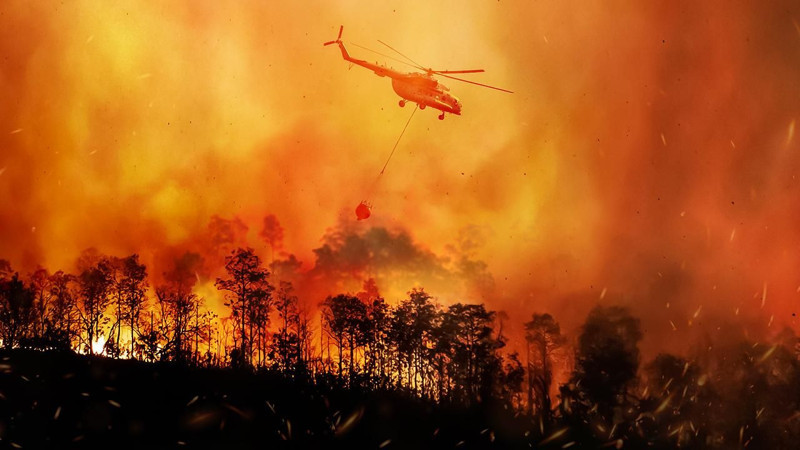 İşte orman yangını olan iller - Resim: 5