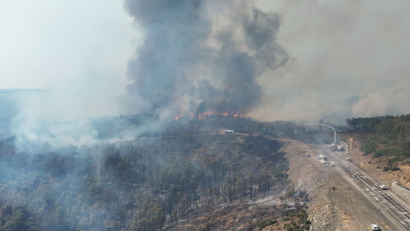 Bursa'daki yangını çıkaran kişinin ifadesine ulaşıldı - Resim: 1