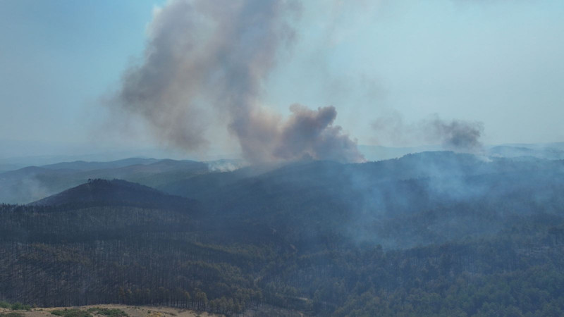 Bursa'daki yangını çıkaran kişinin ifadesine ulaşıldı - Resim: 2