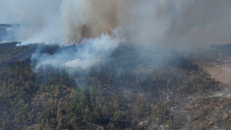 Bursa'daki yangını çıkaran kişinin ifadesine ulaşıldı - Resim: 4