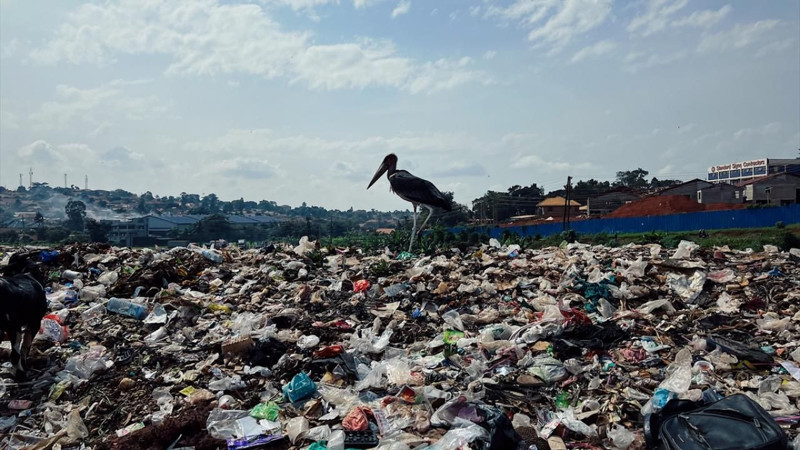 Dünyanın havası en kirli şehirleri seçildi! Burada nefes almak bile riskli - Resim: 10