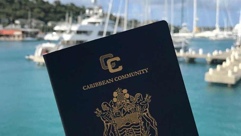 Çok sayıda Türk bu pasaportu alıyor! Her yere vizesiz giriyor - Resim: 5