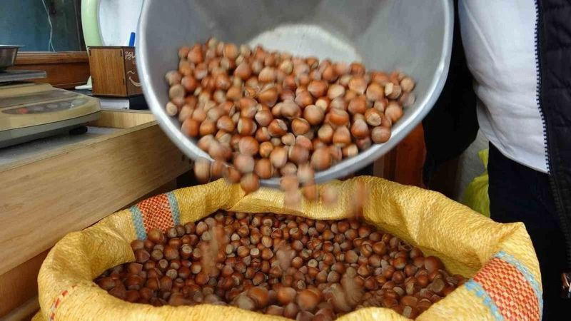 2025 fındık alım fiyatları belli oldu! - Resim: 9