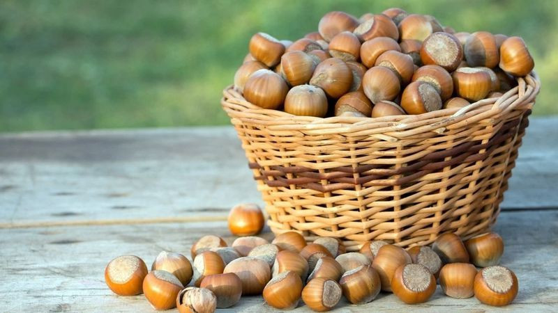 2025 fındık alım fiyatları belli oldu! - Resim: 2