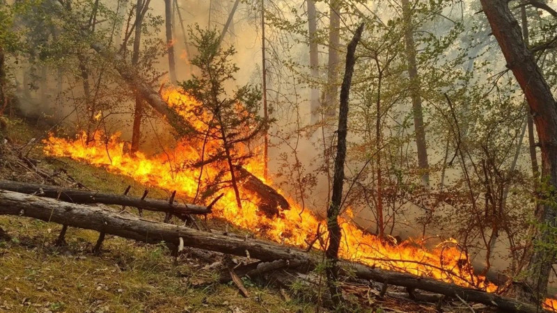 Bugün Türkiye'de meydana gelen yangınlar - Resim: 2