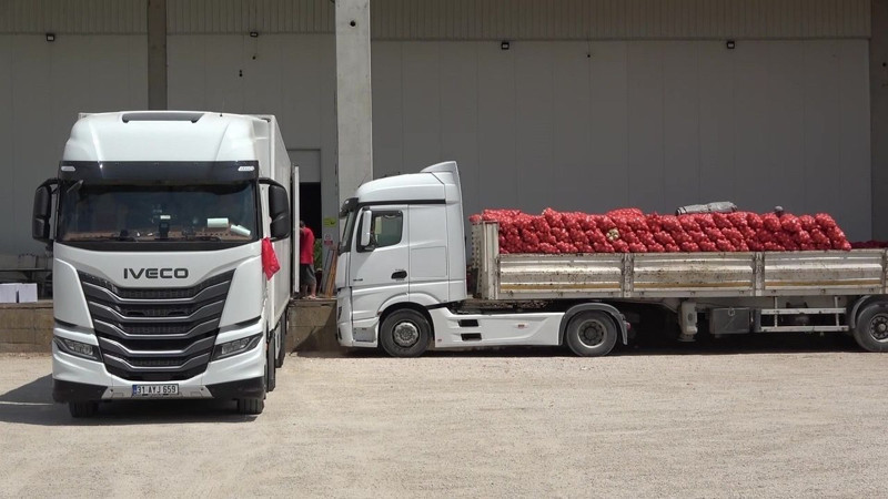 Amasya'da üretilip Avrupa'ya gönderiliyor! Kilosu 5 lira - Resim: 8