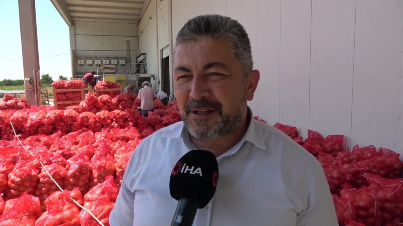Amasya'da üretilip Avrupa'ya gönderiliyor! Kilosu 5 lira - Resim: 10