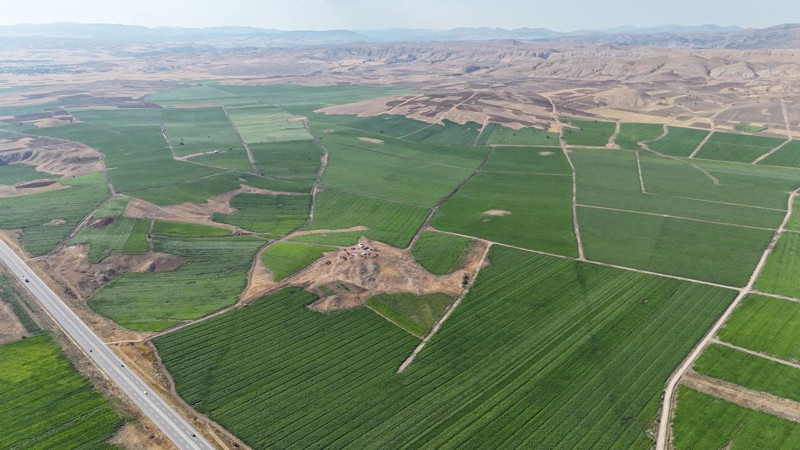 Türkiye’nin en iyi patatesi! Hasat için gün sayıyor - Resim: 1