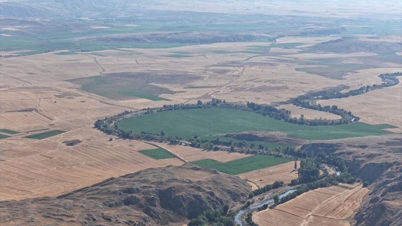 Türkiye’nin en iyi patatesi! Hasat için gün sayıyor - Resim: 2