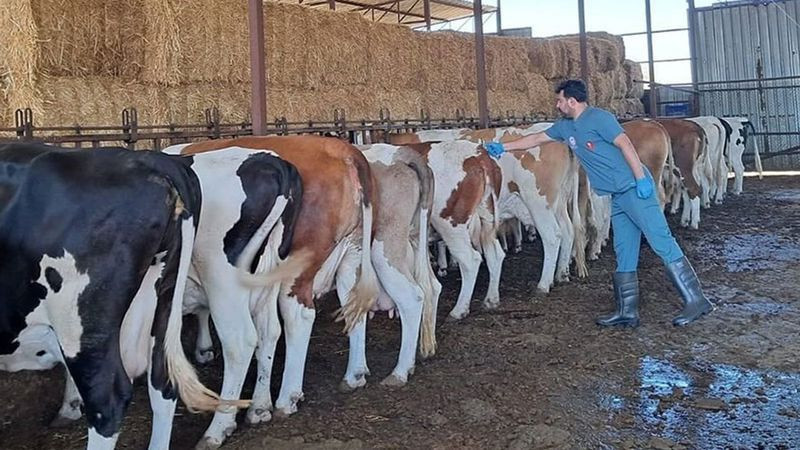 Aydın'ın Kuyucak ilçesinde karantina kararı! 13 mahallede başladı - Resim: 1