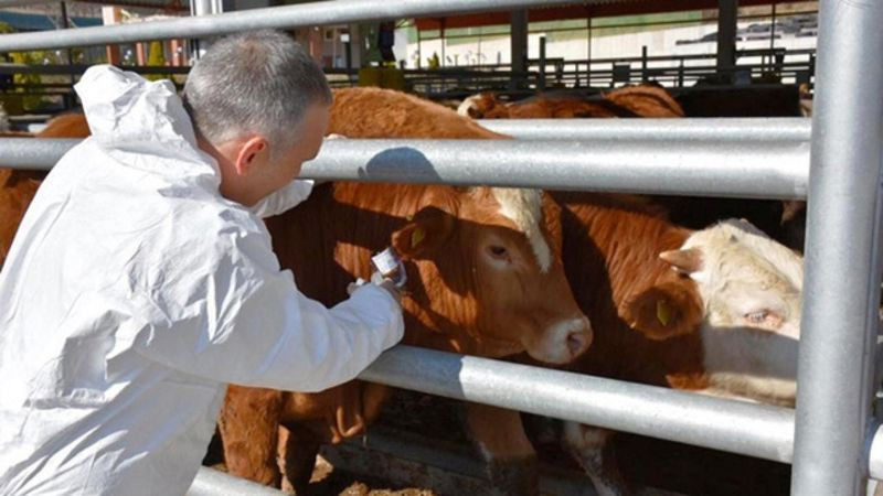 Aydın'ın Kuyucak ilçesinde karantina kararı! 13 mahallede başladı - Resim: 2