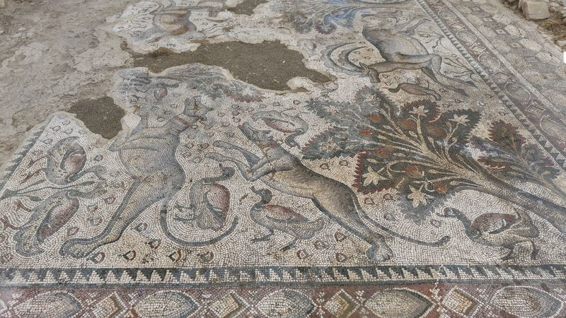 Elazığ'da bulunmuştu! Bin 700 yıllık mozaiğin sırrı çözüldü - Resim: 1