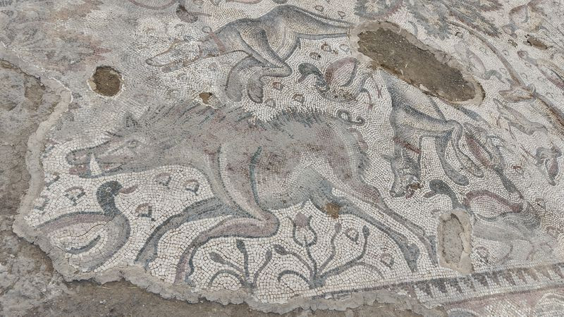 Elazığ'da bulunmuştu! Bin 700 yıllık mozaiğin sırrı çözüldü - Resim: 3