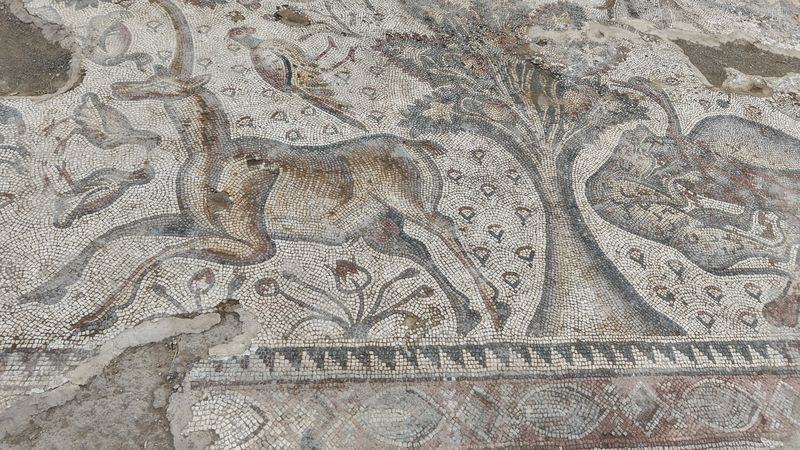 Elazığ'da bulunmuştu! Bin 700 yıllık mozaiğin sırrı çözüldü - Resim: 4