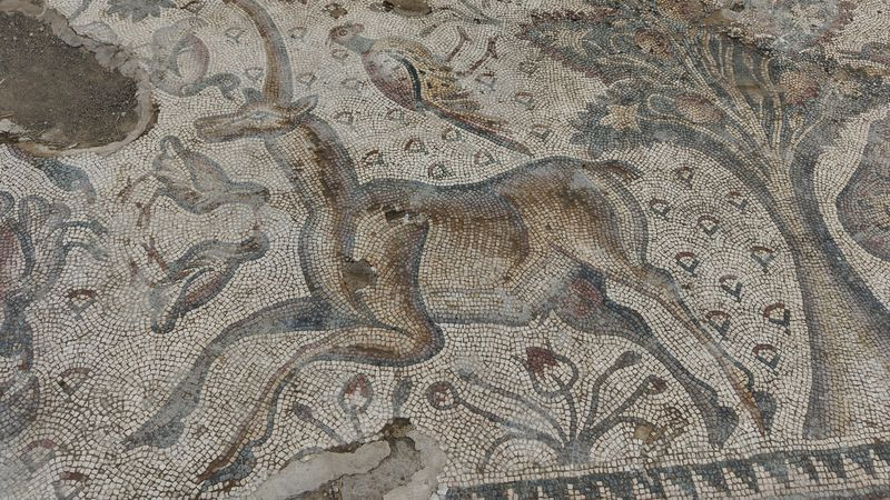 Elazığ'da bulunmuştu! Bin 700 yıllık mozaiğin sırrı çözüldü - Resim: 5