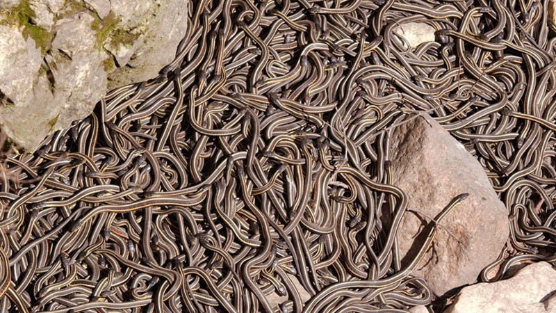 Dünyada ayak basılmaması gereken 10 yer! Biri Türkiye'yi yakından ilgilendiriyor - Resim: 3