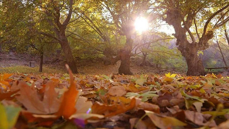 Meteoroloji açıkladı: Yağış etkisini kaybedecek! Bu bölgelerde yazdan kalma son günler - Resim: 4