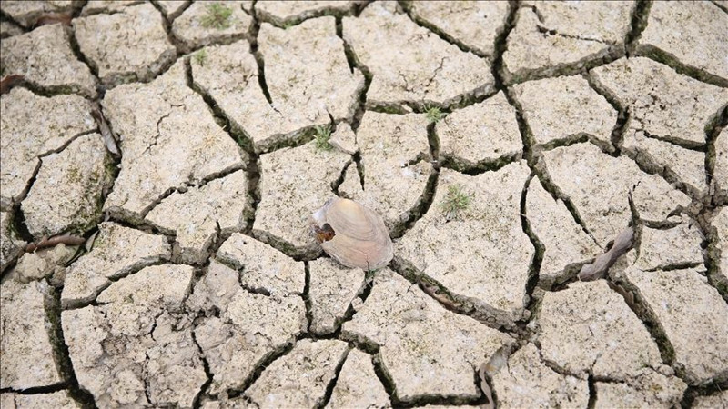 İstanbul'da kıyamet senaryosu: İklim krizi bu ilçeleri vuracak - Resim: 6