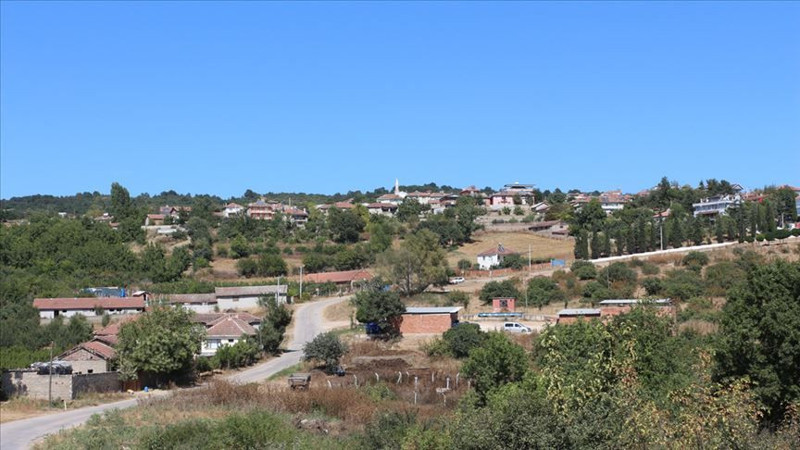 Şehir sayısı 100'e çıkıyor! İşte il olmaya hazır 19 ilçe - Resim: 14